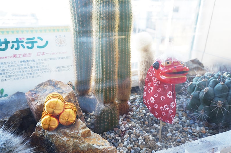 JR春日井駅自由通路のサボテンの寄せ植え、お正月の飾り付け