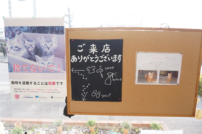 ねこカフェNew Journey（ニュージャーニー）【保護猫と出会える素敵なお店】