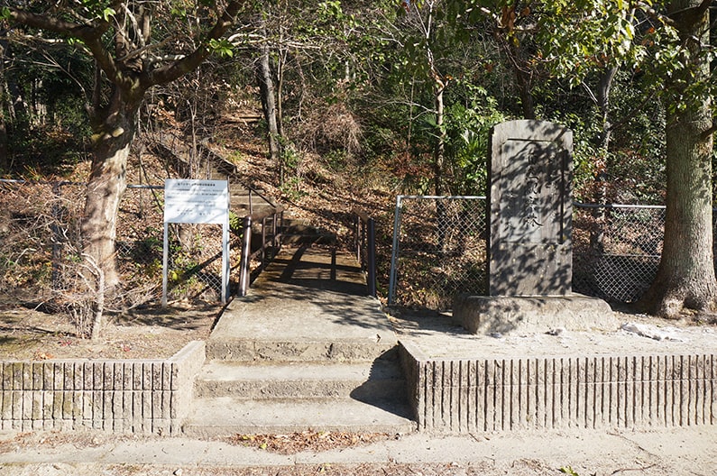 坂下小学校の自然観察林