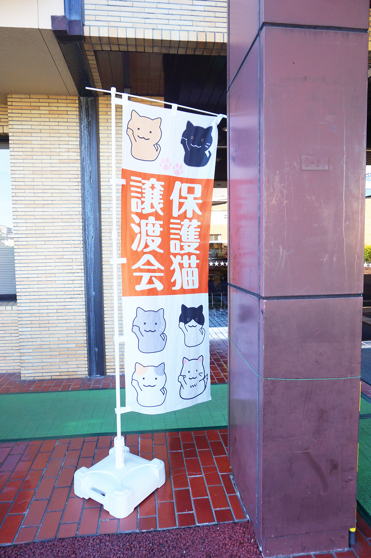 保護猫を家族に迎えるという選択肢を知ってほしい。春日井さくら猫の会の保護猫譲渡会を紹介。