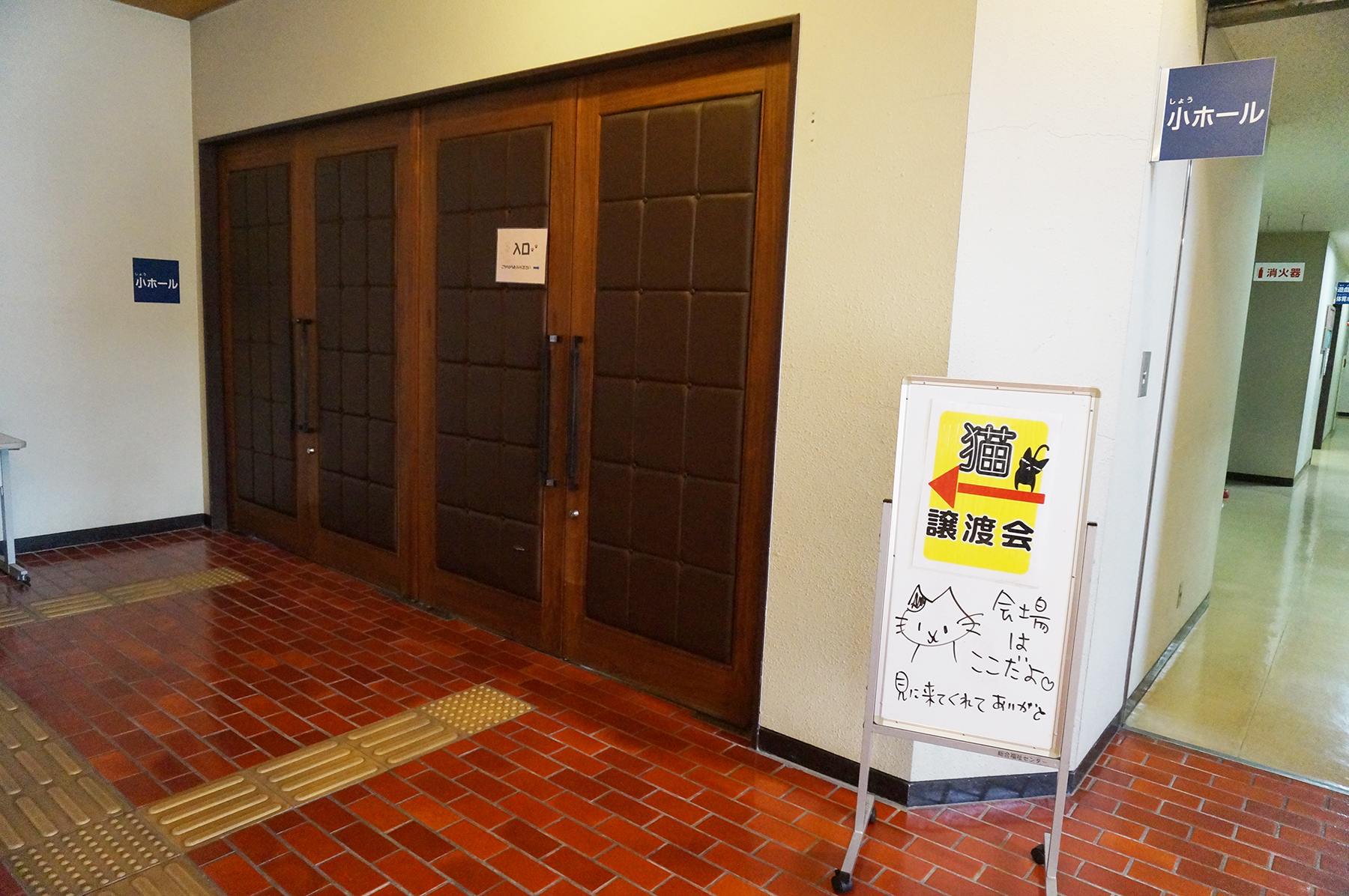 保護猫を家族に迎えるという選択肢を知ってほしい。春日井さくら猫の会の保護猫譲渡会を紹介。