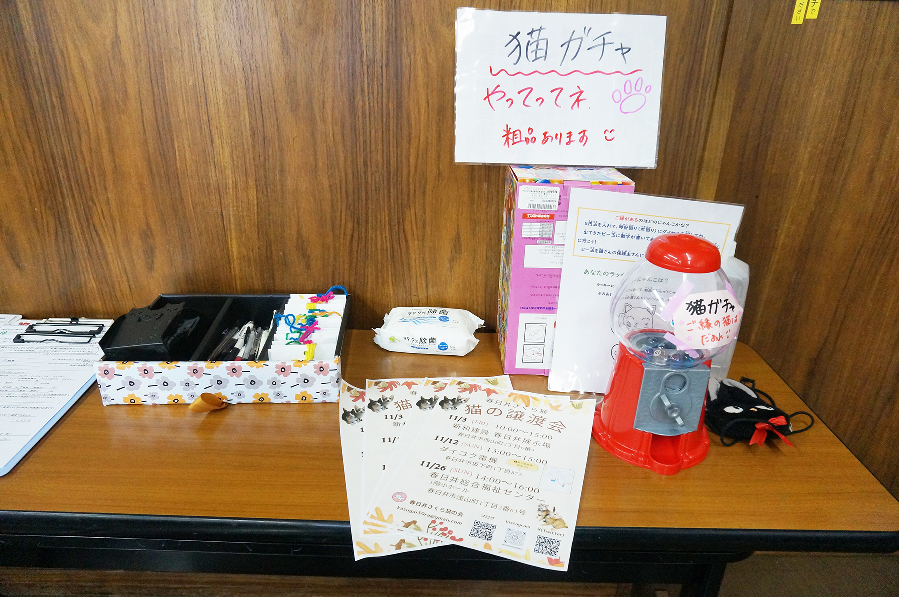 保護猫を家族に迎えるという選択肢を知ってほしい。春日井さくら猫の会の保護猫譲渡会を紹介。