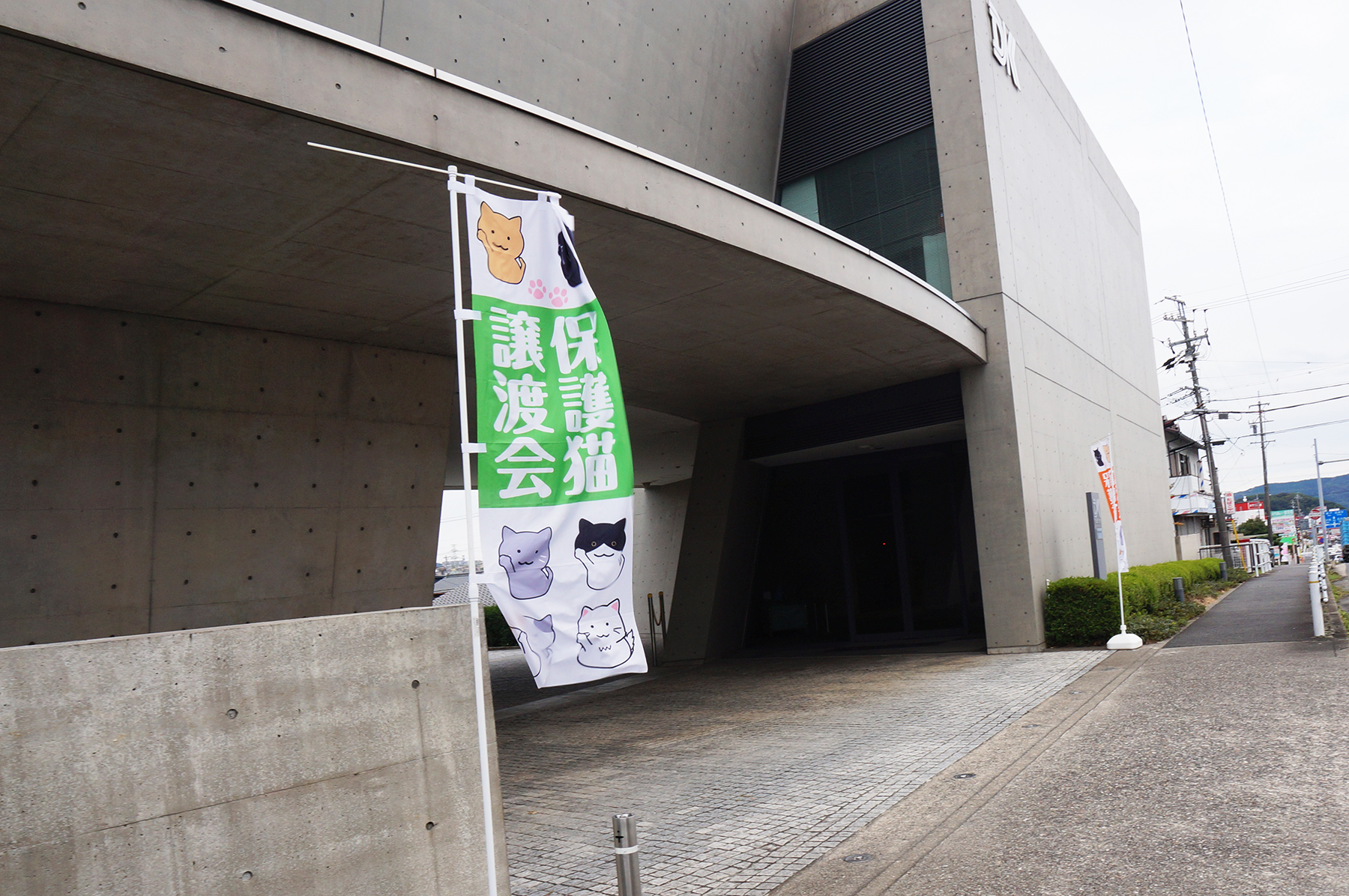 大手企業でも保護猫譲渡会が開催される時代に。ダイコク電機で開催された譲渡会を紹介します。