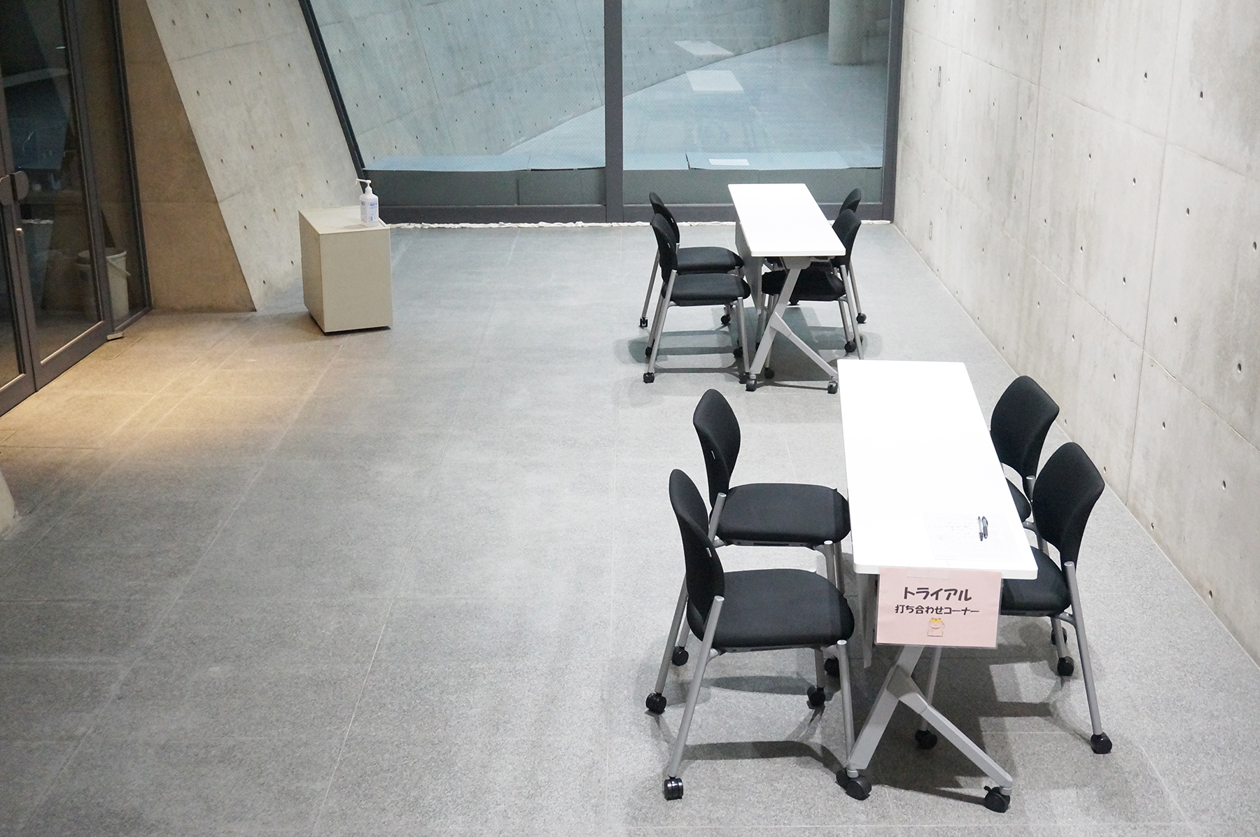 大手企業でも保護猫譲渡会が開催される時代に。ダイコク電機で開催された譲渡会を紹介します。