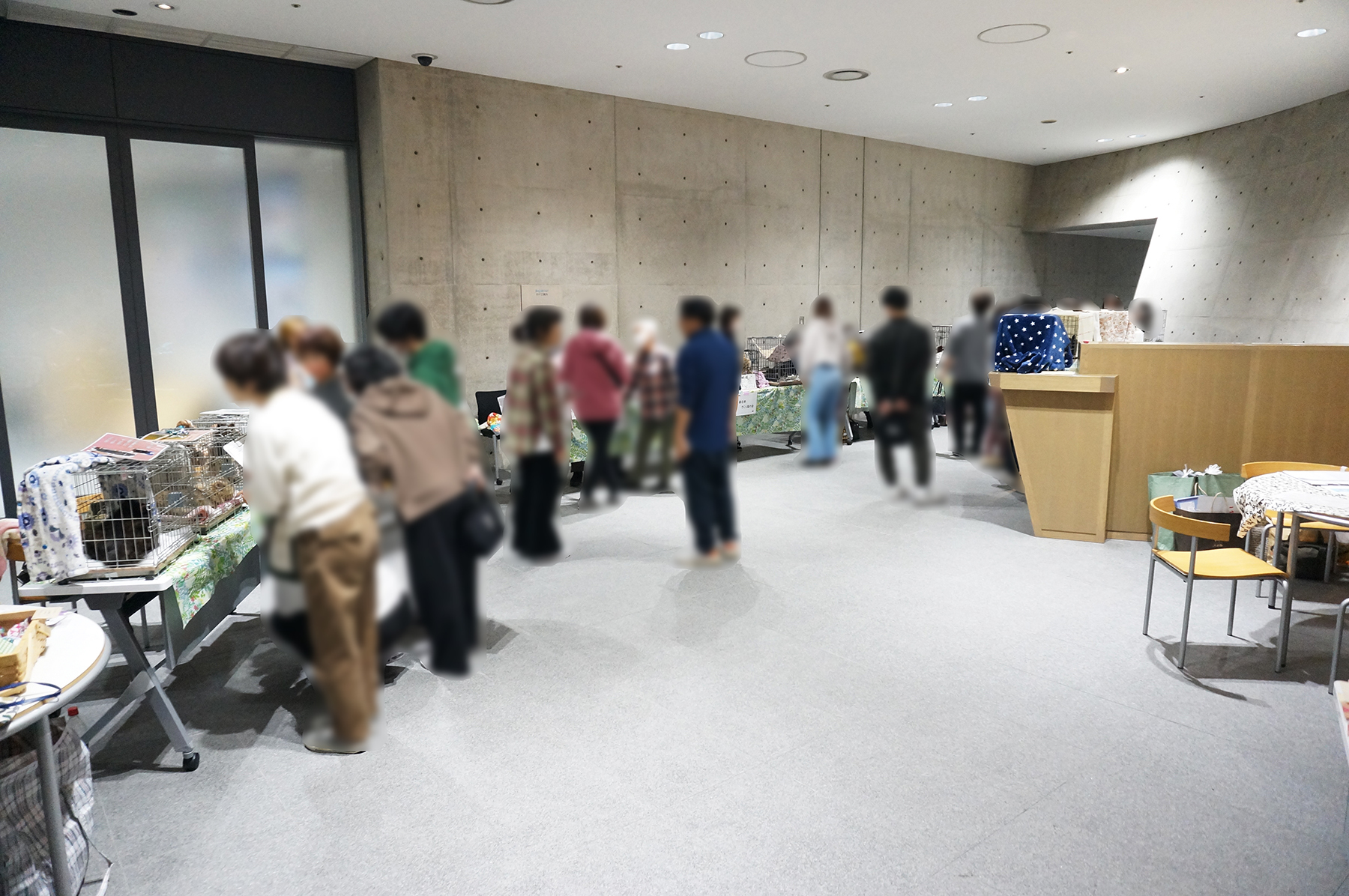 大手企業でも保護猫譲渡会が開催される時代に。ダイコク電機で開催された譲渡会を紹介します。