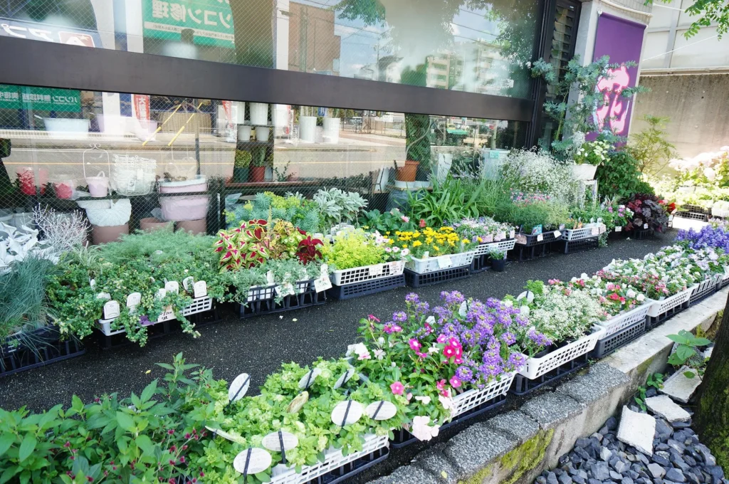 東野町の素敵な花屋さん「八七八」を紹介。珍しい植物も揃う種類豊富なお花屋さんです。