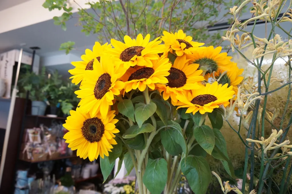 東野町の素敵な花屋さん「八七八」を紹介。珍しい植物も揃う種類豊富なお花屋さんです。
