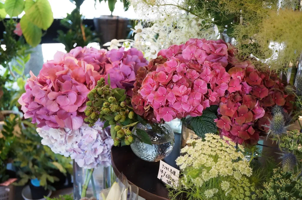 東野町の素敵な花屋さん「八七八」を紹介。珍しい植物も揃う種類豊富なお花屋さんです。