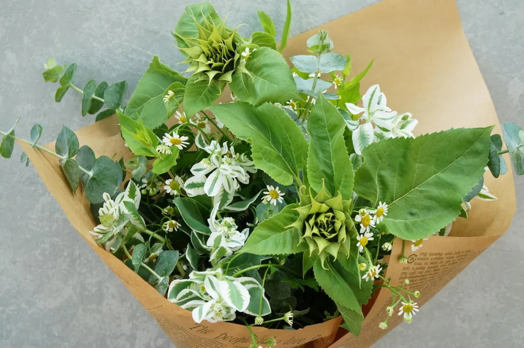 東野町の素敵な花屋さん「八七八」を紹介。珍しい植物も揃う種類豊富なお花屋さんです。