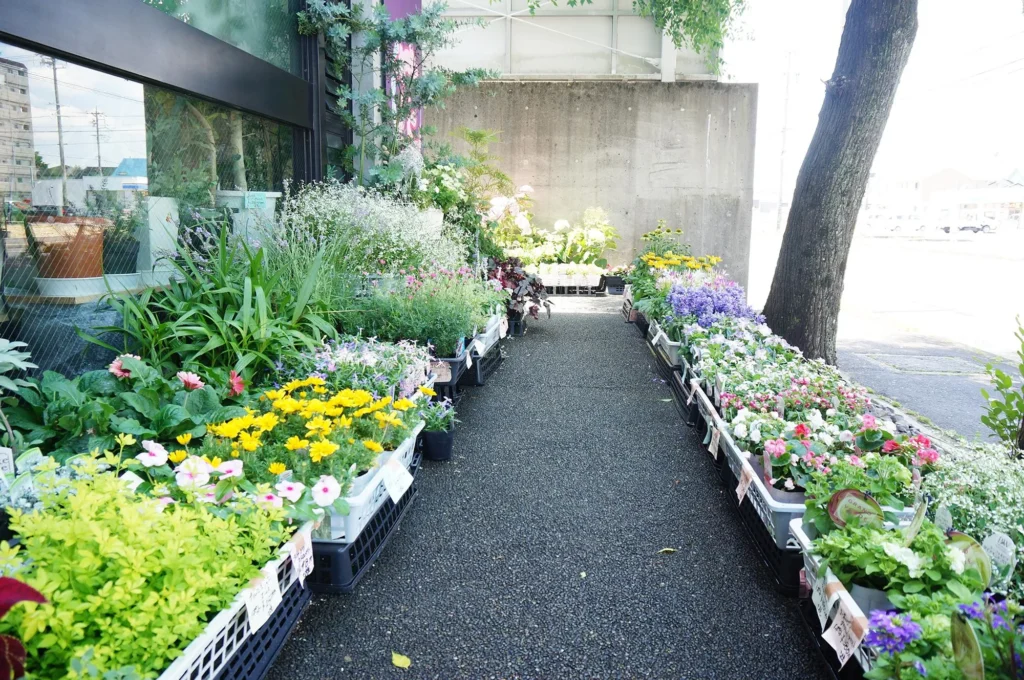 東野町の素敵な花屋さん「八七八」を紹介。珍しい植物も揃う種類豊富なお花屋さんです。