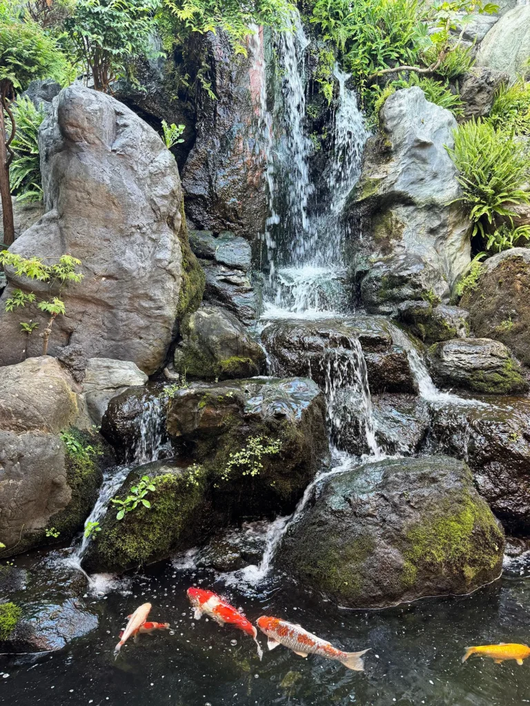 3代続く地域に愛される銭湯「春日井温泉」名物の露天風呂や天然温泉も魅力