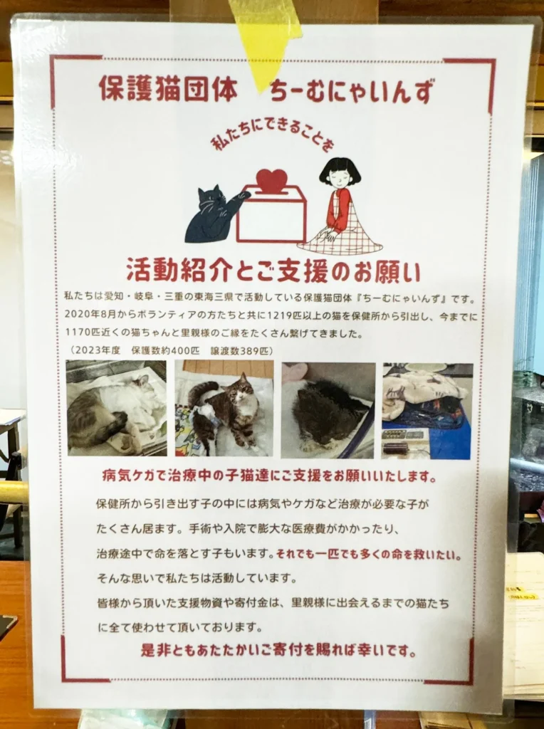 保健所からの命を繋ぐ。年間約400匹の猫を保護する「保護猫団体ちーむにゃいんず」