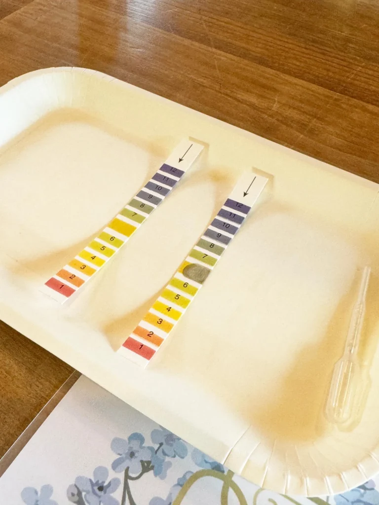 オーラルフレイル予防の取り組み。7days ok Habitのミールラウンドを体験。