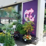 東野町の素敵な花屋さん「八七八」を紹介。珍しい植物も揃う種類豊富なお花屋さんです。