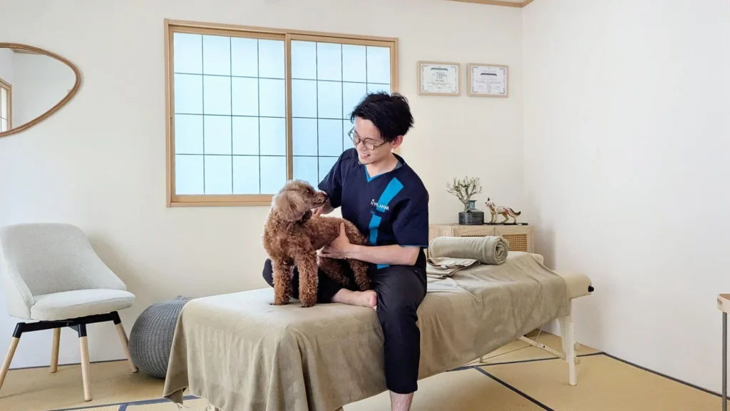 飼い主さんも共に寛げるわんちゃん猫ちゃん専門のペット整体「エムズアマー」