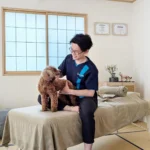 飼い主さんも共に寛げるわんちゃん猫ちゃん専門のペット整体「エムズアマー」